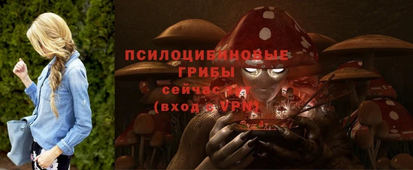 стафф Горнозаводск